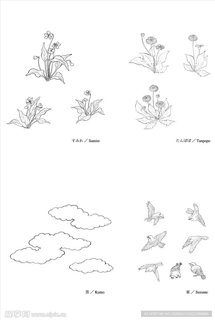 线描花朵