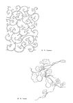 线描花朵