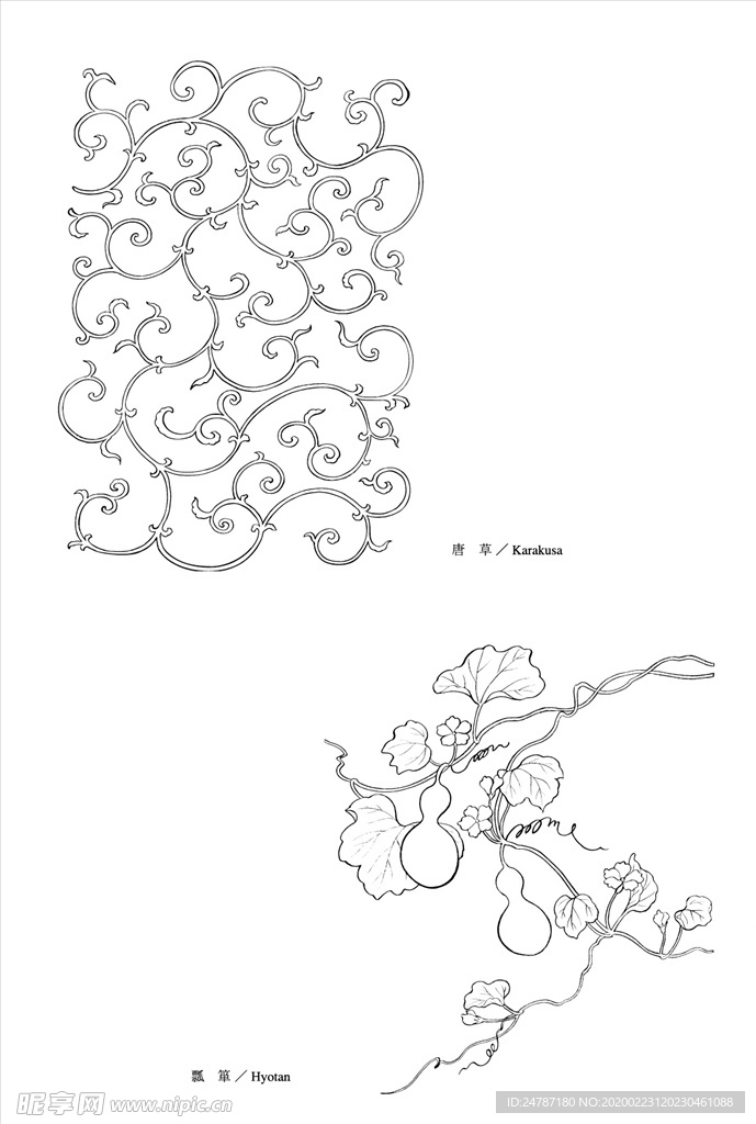 线描花朵