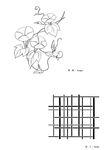 线描花朵
