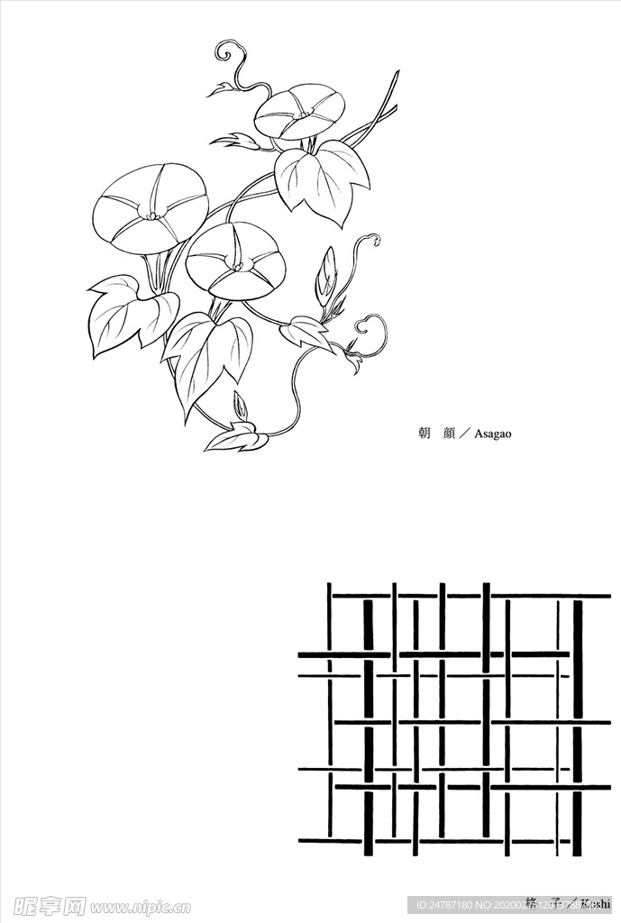 线描花朵