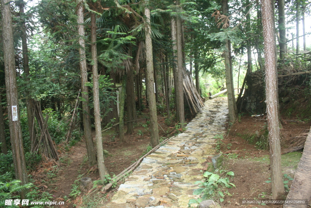林间小道