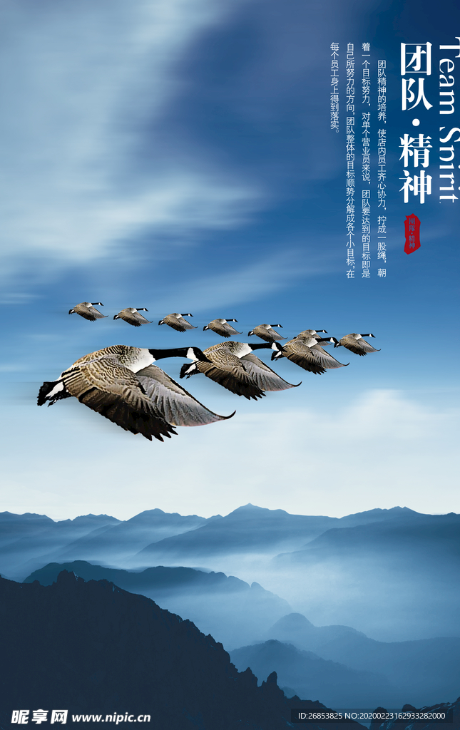 企业展板