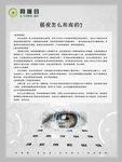 关于眼睛的5种海报