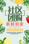 社区团购