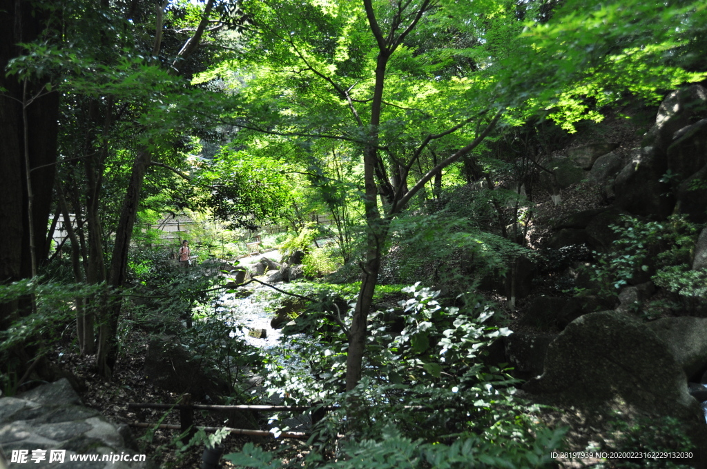 2019日本旅游名古屋