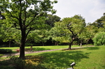 2019日本旅游名古屋