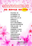 婚礼套系