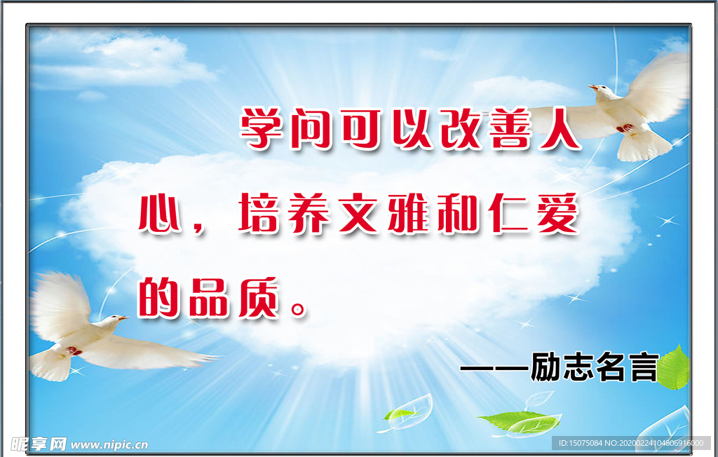 校园展板