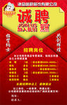 诚聘