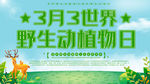 野生动物日