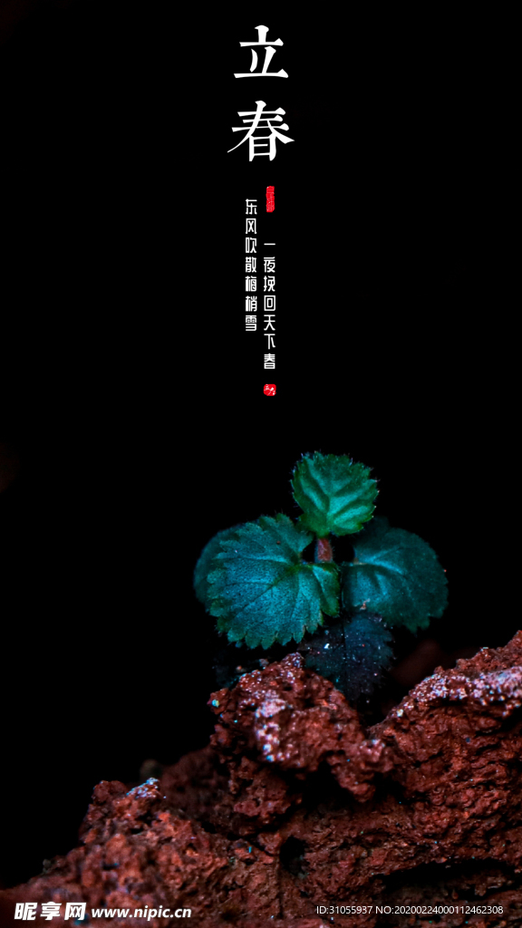 立春