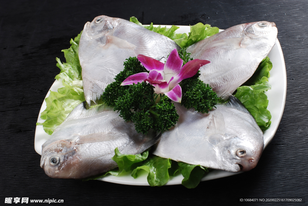 高清海鲜餐饮美食摄影