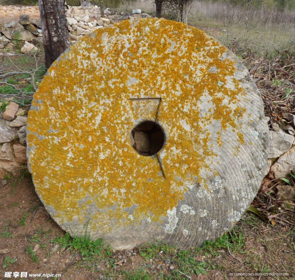 地衣摄影
