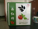 西红柿