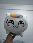 猫老师