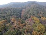 秋景 山林秋色航拍