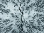 冰雪森林