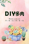 多肉