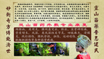 灵丹苗药
