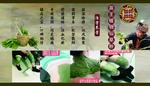 苗药展板