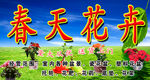 春天花卉