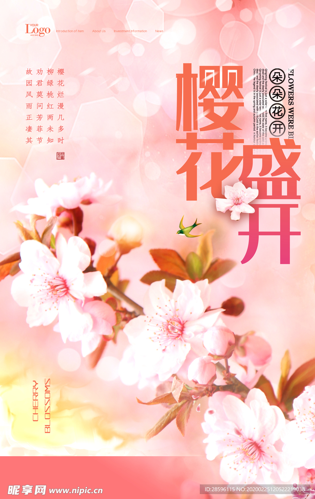 樱花