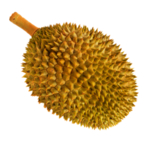 榴莲