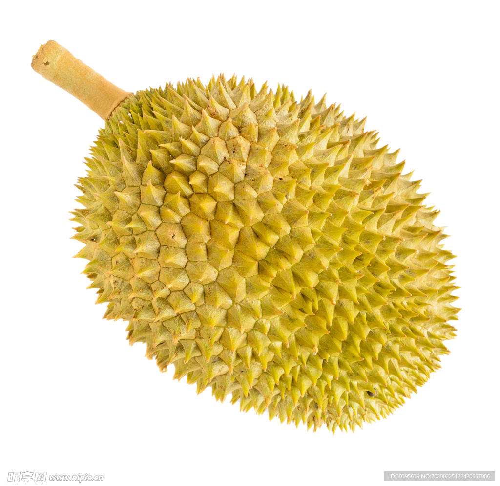 榴莲