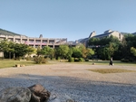 大连东软信息学院