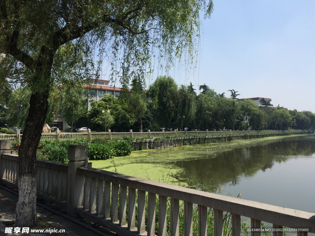 南通大学医学院盛夏掠影