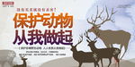 动物园海报