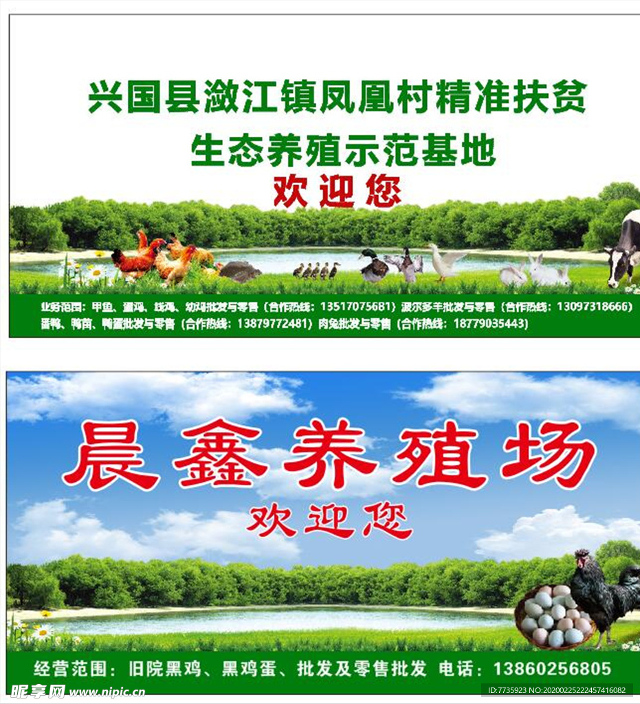 生态牧场 养殖场  养殖广告