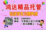 托管