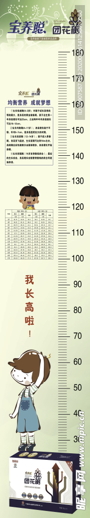 身高尺子  团花树  卡通娃娃