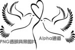 鸽子 情人节图片 爱情