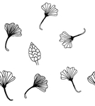 黑白简约线条植物绘画