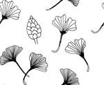 黑白简约线条植物绘画