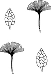 黑白简约线条植物绘画