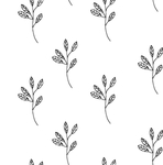 黑白简约线条植物绘画