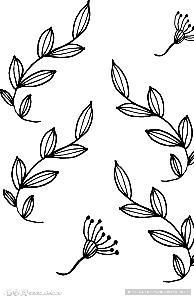 黑白简约线条植物绘画