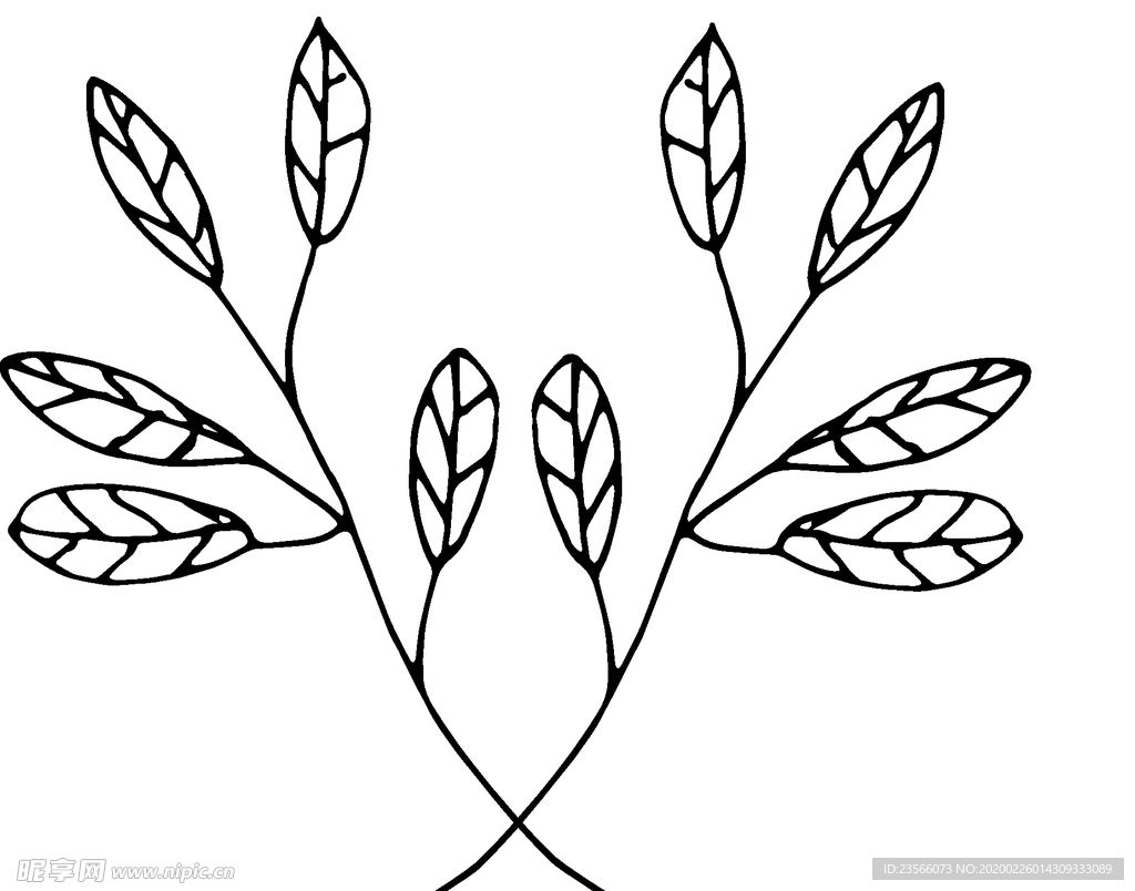 黑白简约线条植物绘画