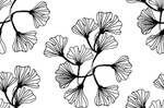 黑白简约线条植物绘画