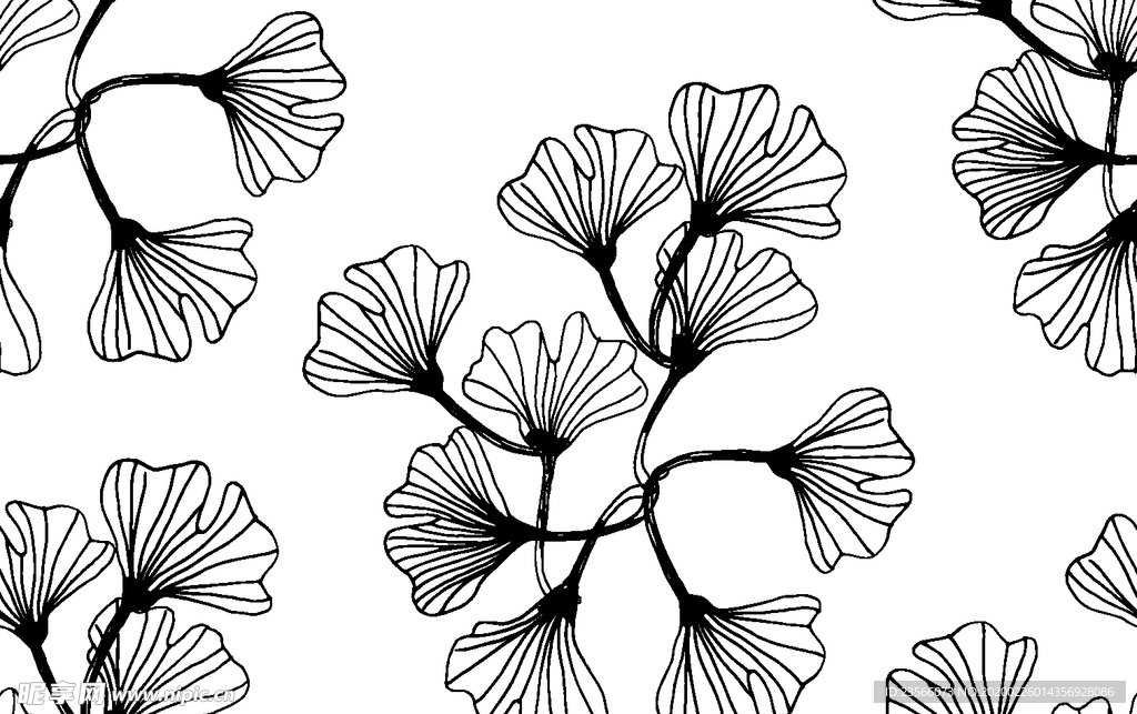黑白简约线条植物绘画