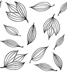 黑白简约线条植物绘画