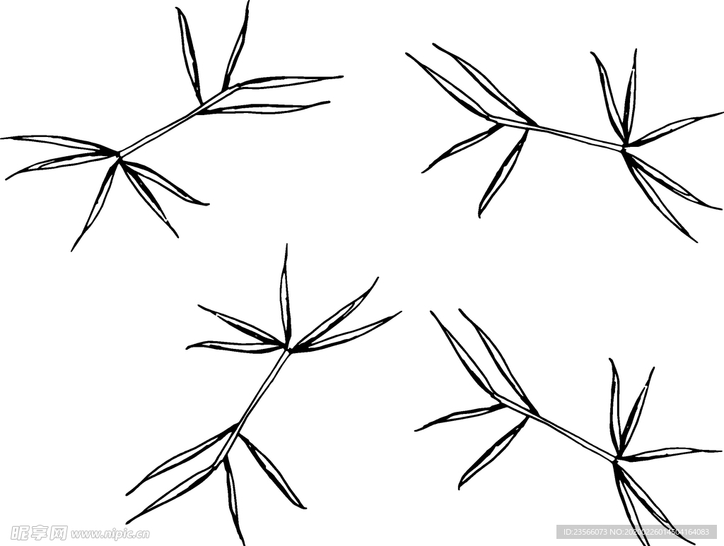 黑白简约线条植物绘画