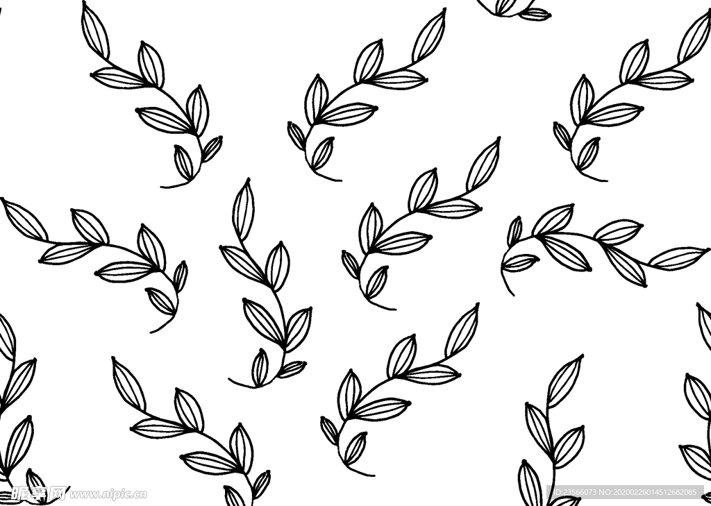 黑白简约线条植物绘画