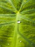 水滴