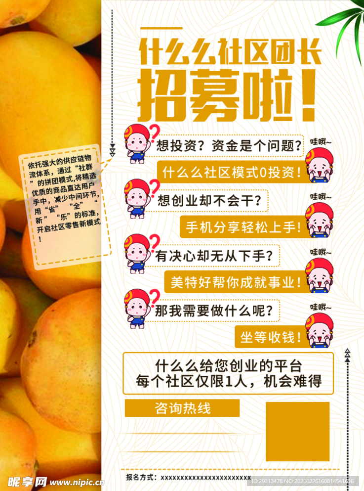 芒果单页 背面