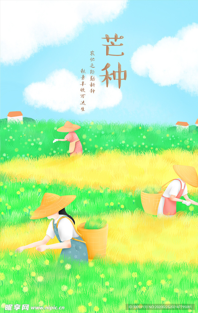 芒种海报